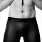 Boxer Cratos C