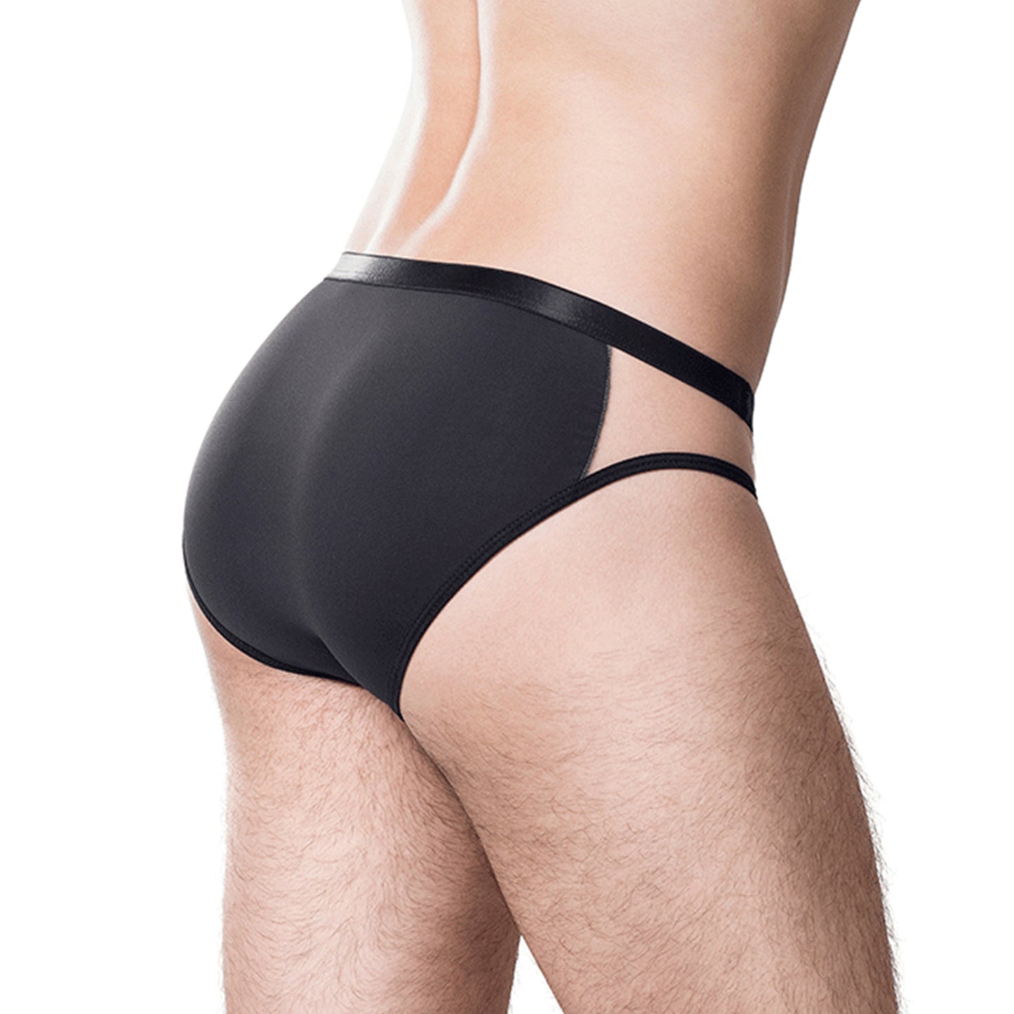 Brief Artemis C