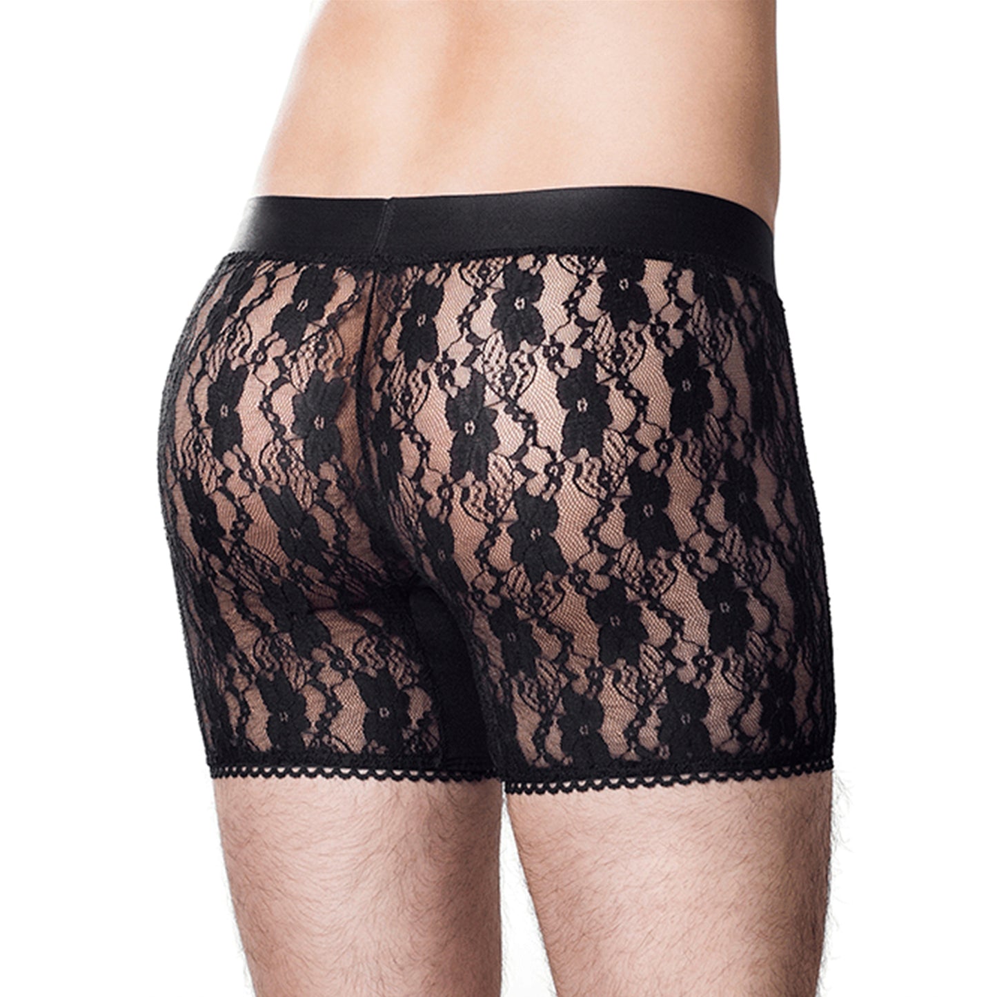 Boxer Cratos A