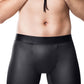 Boxer Cratos C