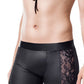 Boxer Demeter A
