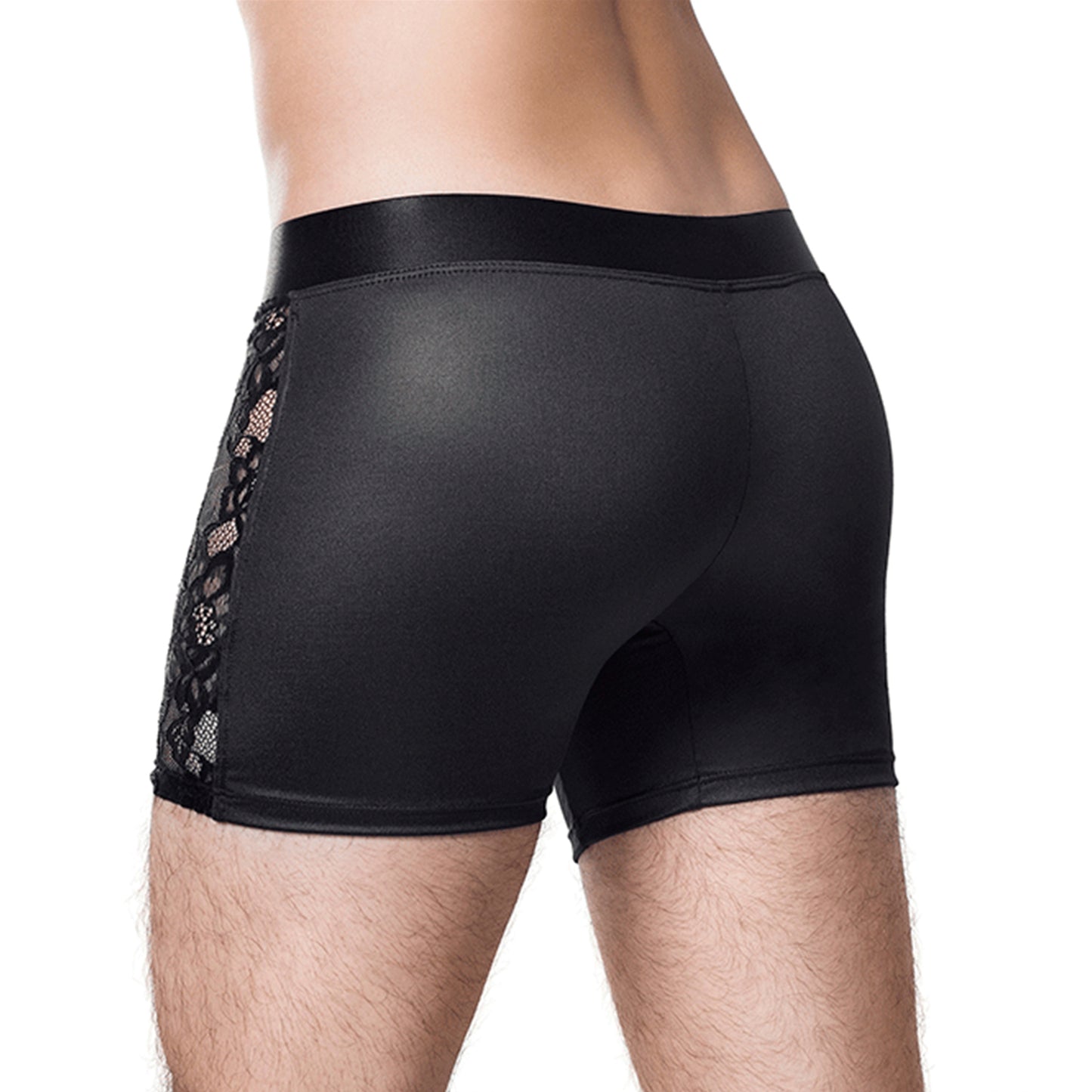 Boxer Demeter A