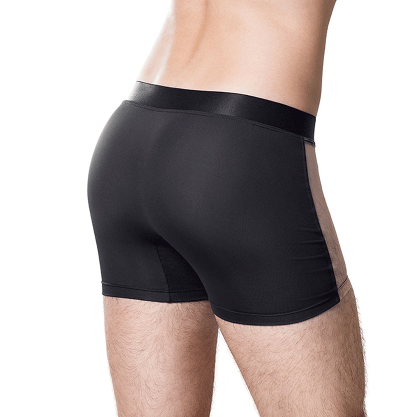 Boxer Demeter B