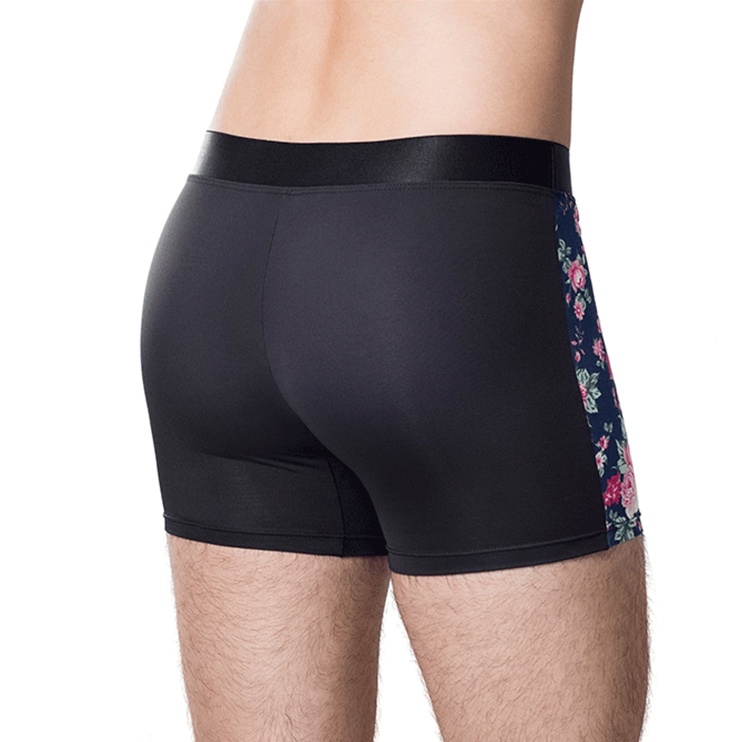 Boxer Demeter C