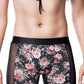 Boxer Demeter D