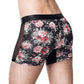 Boxer Demeter D