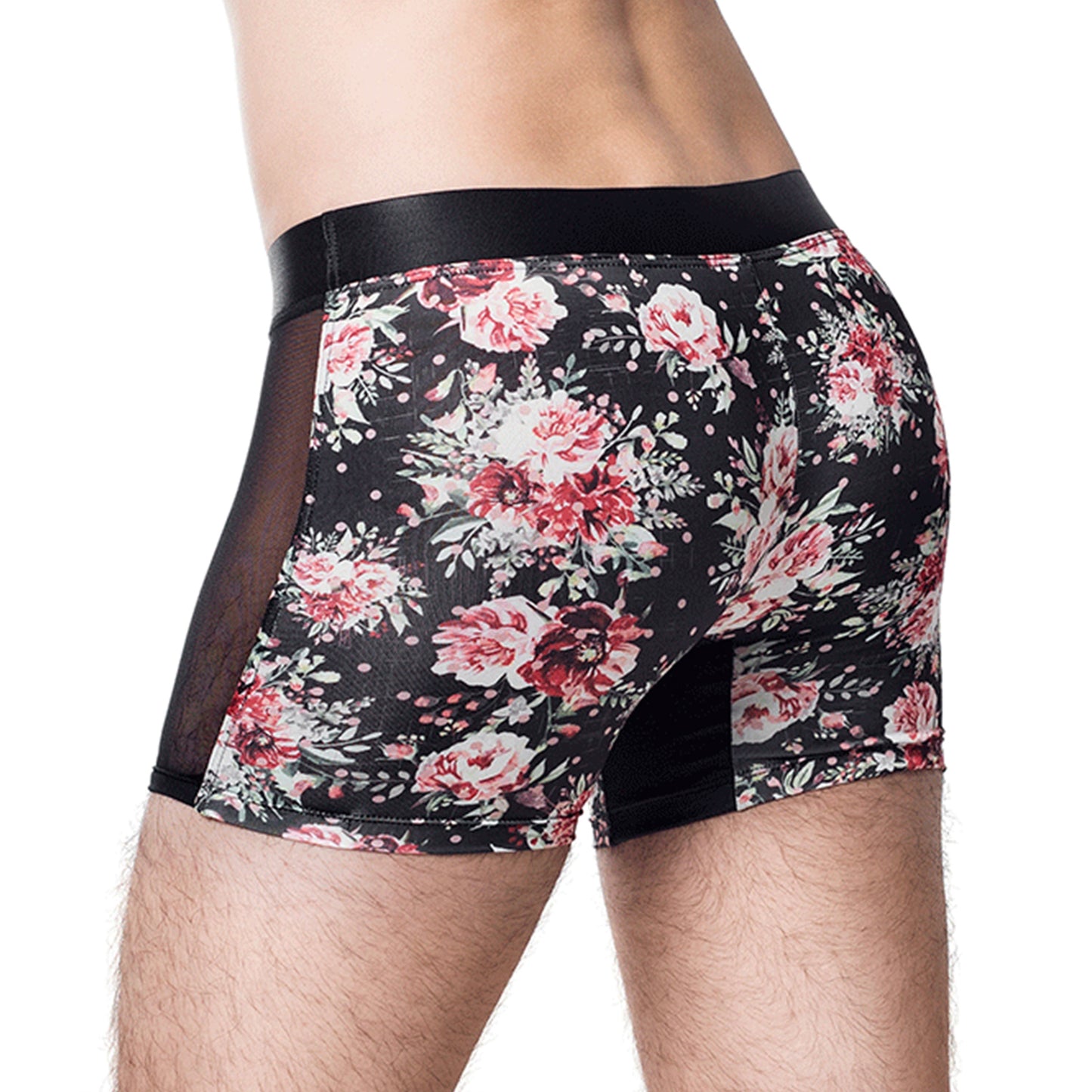 Boxer Demeter D