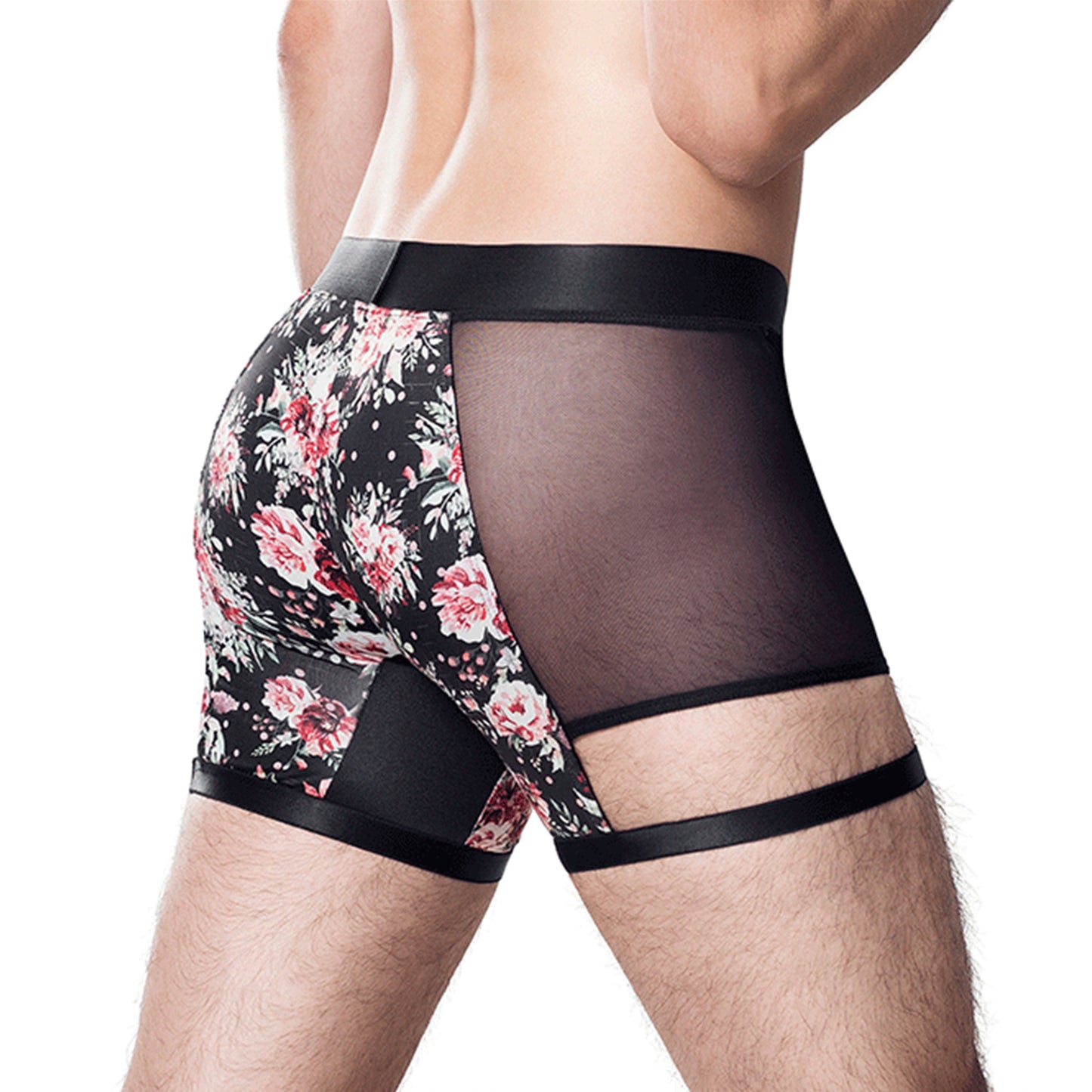 Boxer Eros A