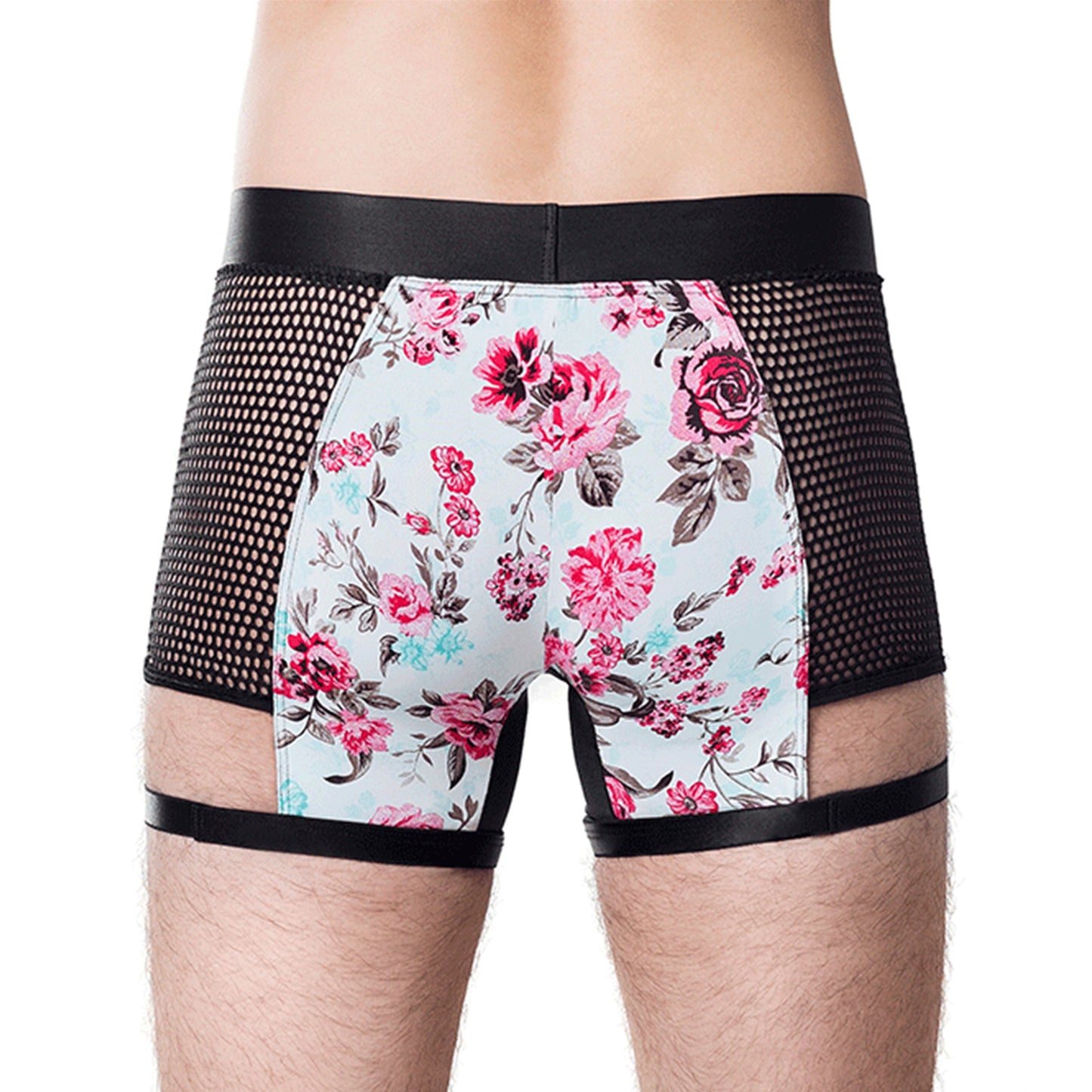 Boxer Eros B