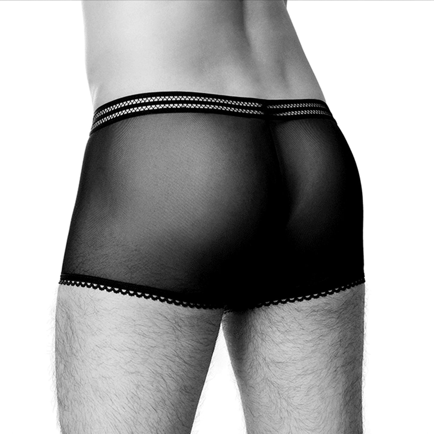 Trunk Dionisio B