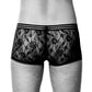 Trunk Dionisio D